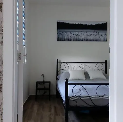 Alisa * Veliko Gradište